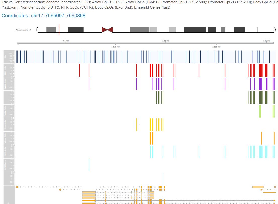 cgmappeR genome view track