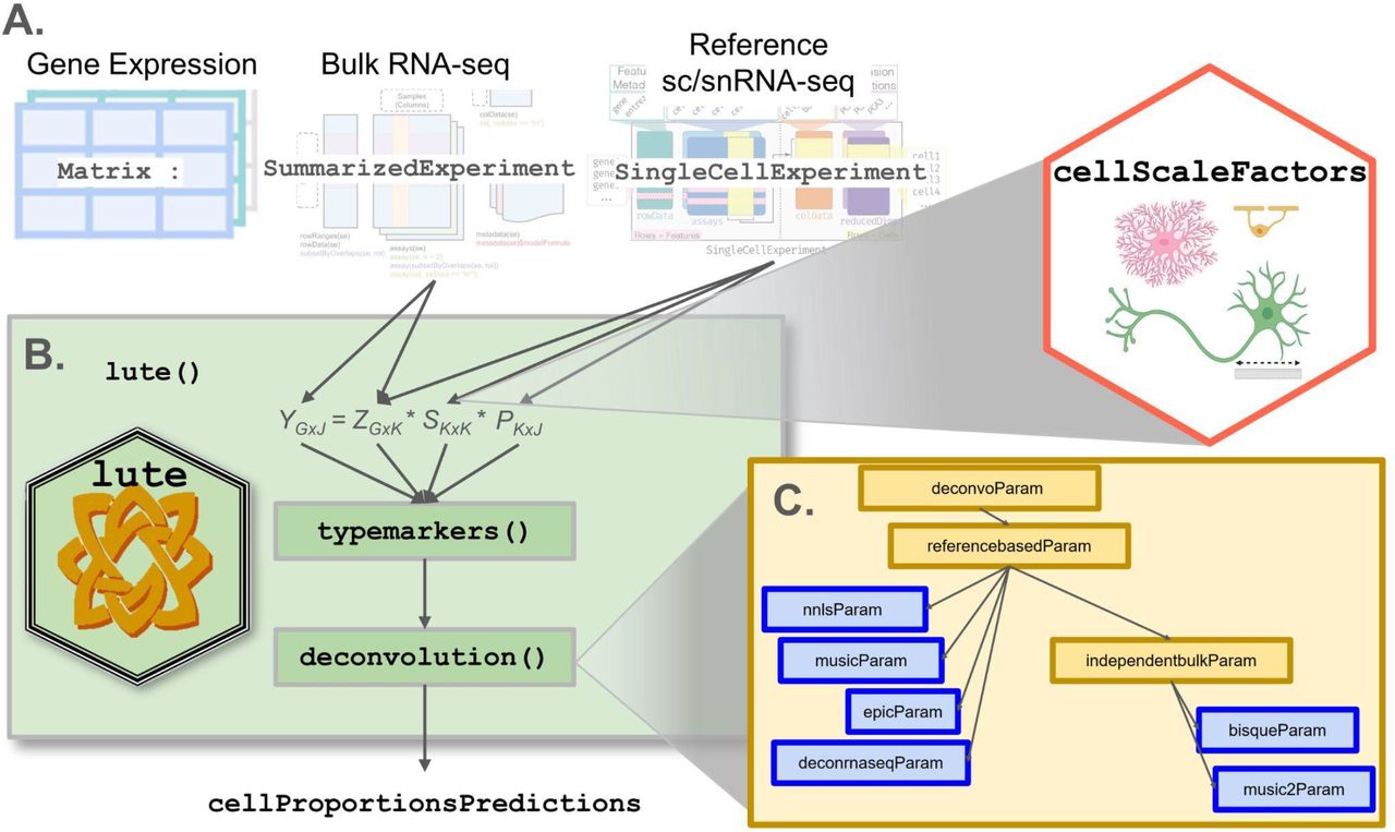 lute R package diagram