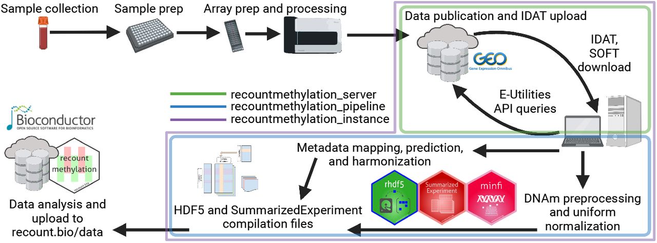 recountmethylation diagram